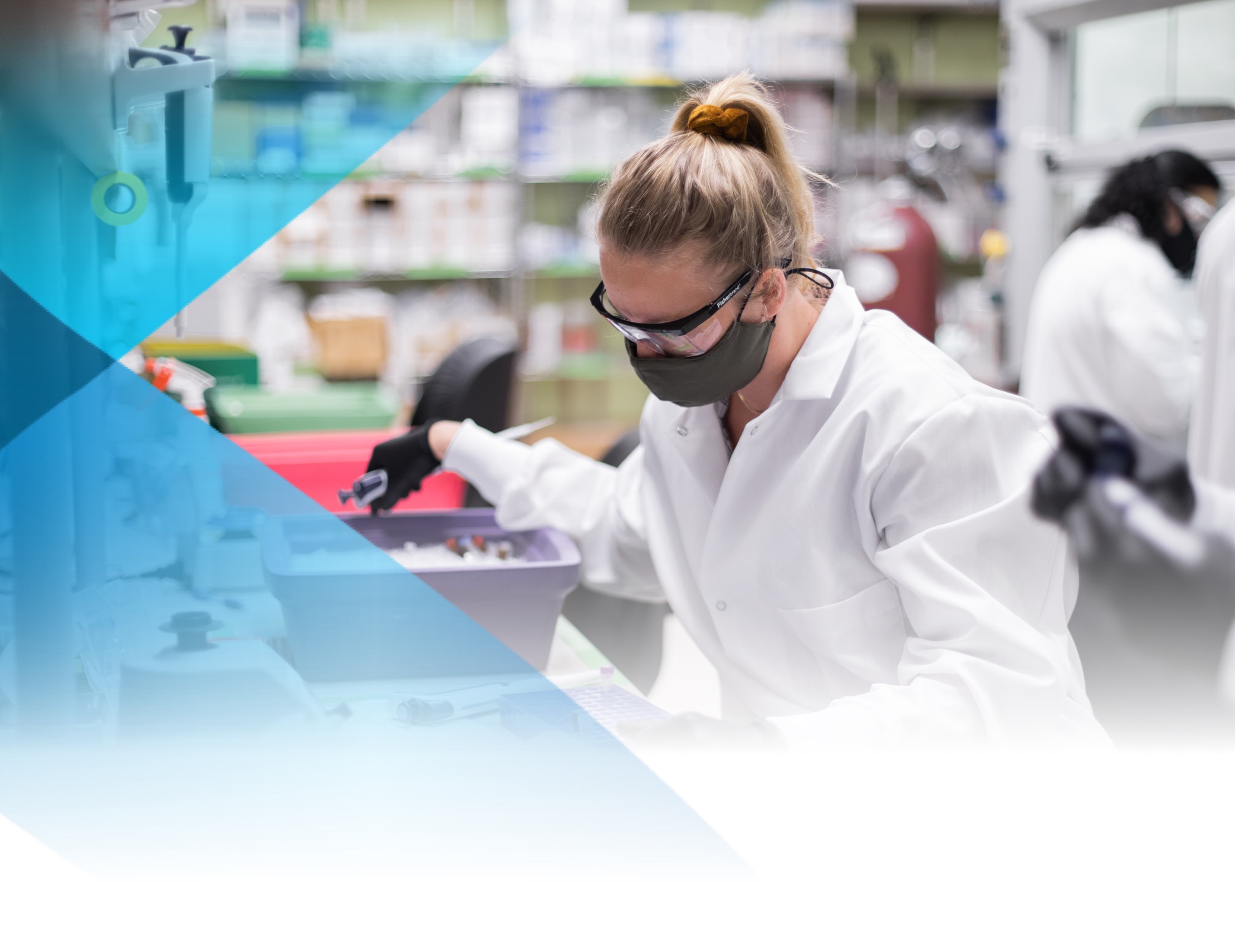 Woman scientist hard at work
