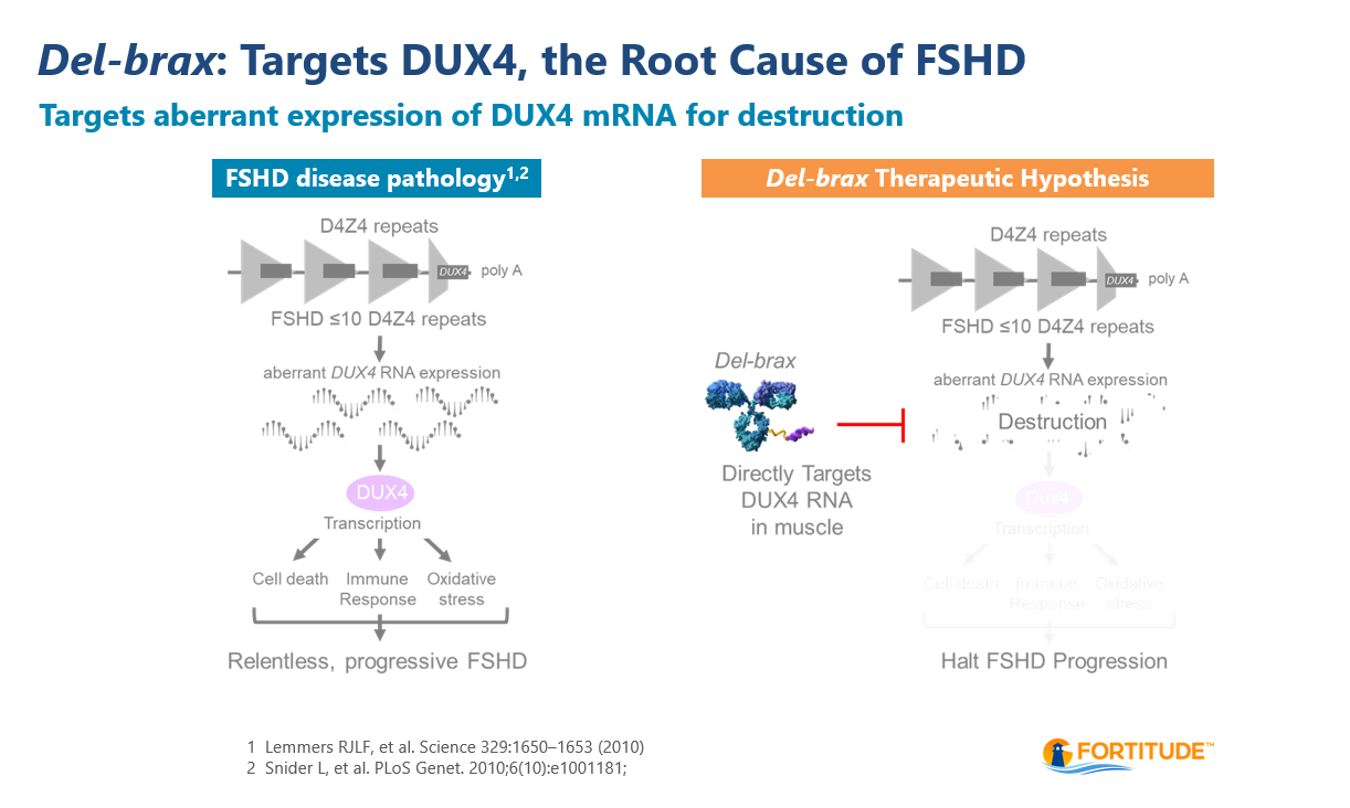 Del-brax: Targets DUX4, the Root Cause of FSHD