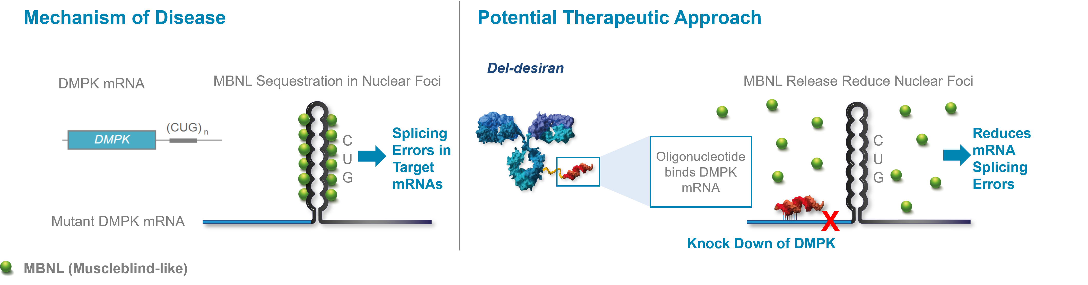 Mechanism of Disease