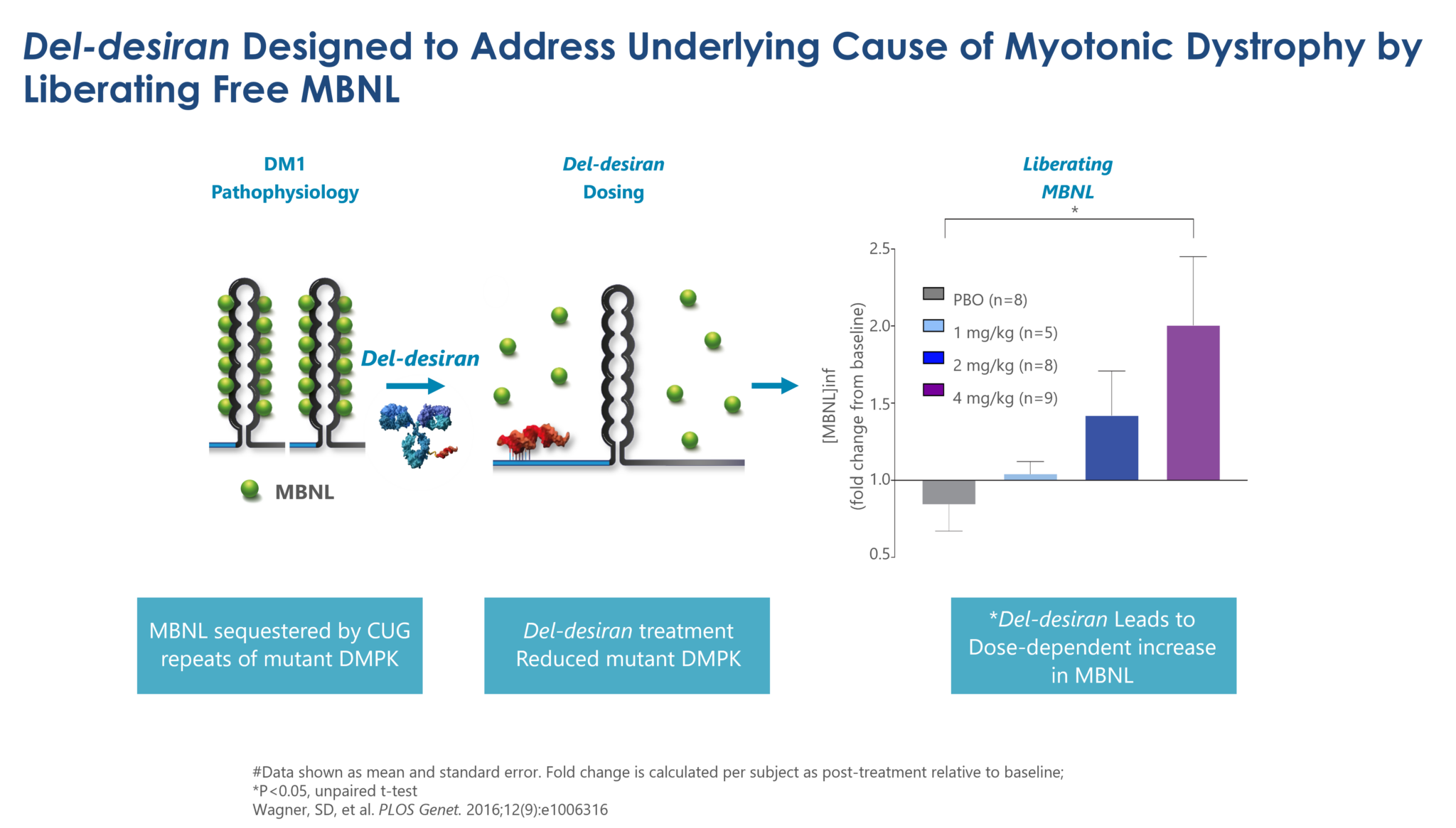 Del-desiran Designed to Address Underlying Cause of Myotonic Dystrophy by Liberating Free MBNL