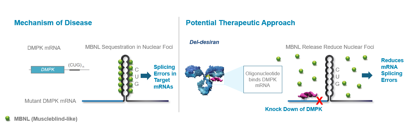 Mechanism of Disease