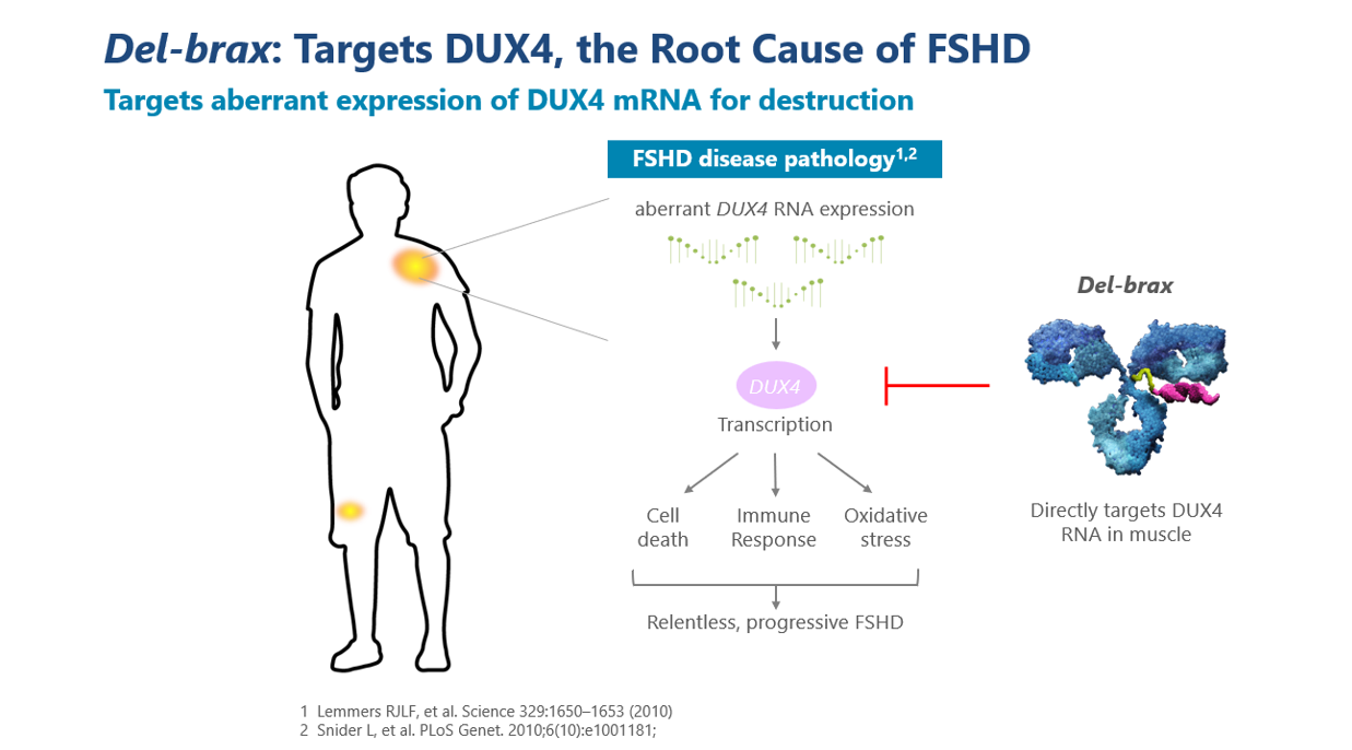 Targets aberrant expression of DUX4